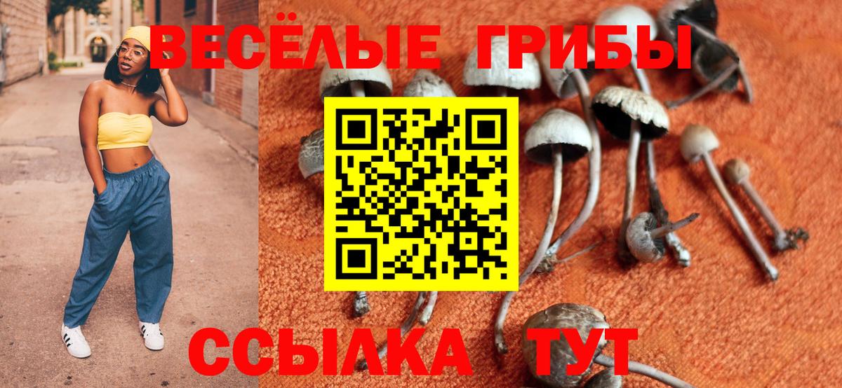 Псилоцибиновые грибы GOLDEN TEACHER  Вход с VPN  Красный Сулин 